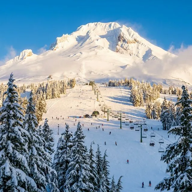 Mt. Hood Meadows thumbnail
